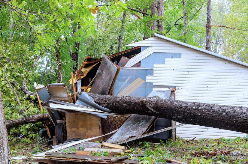 Severe storm damage showing tree fallen through building structure ...